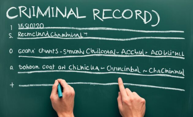 expungement services