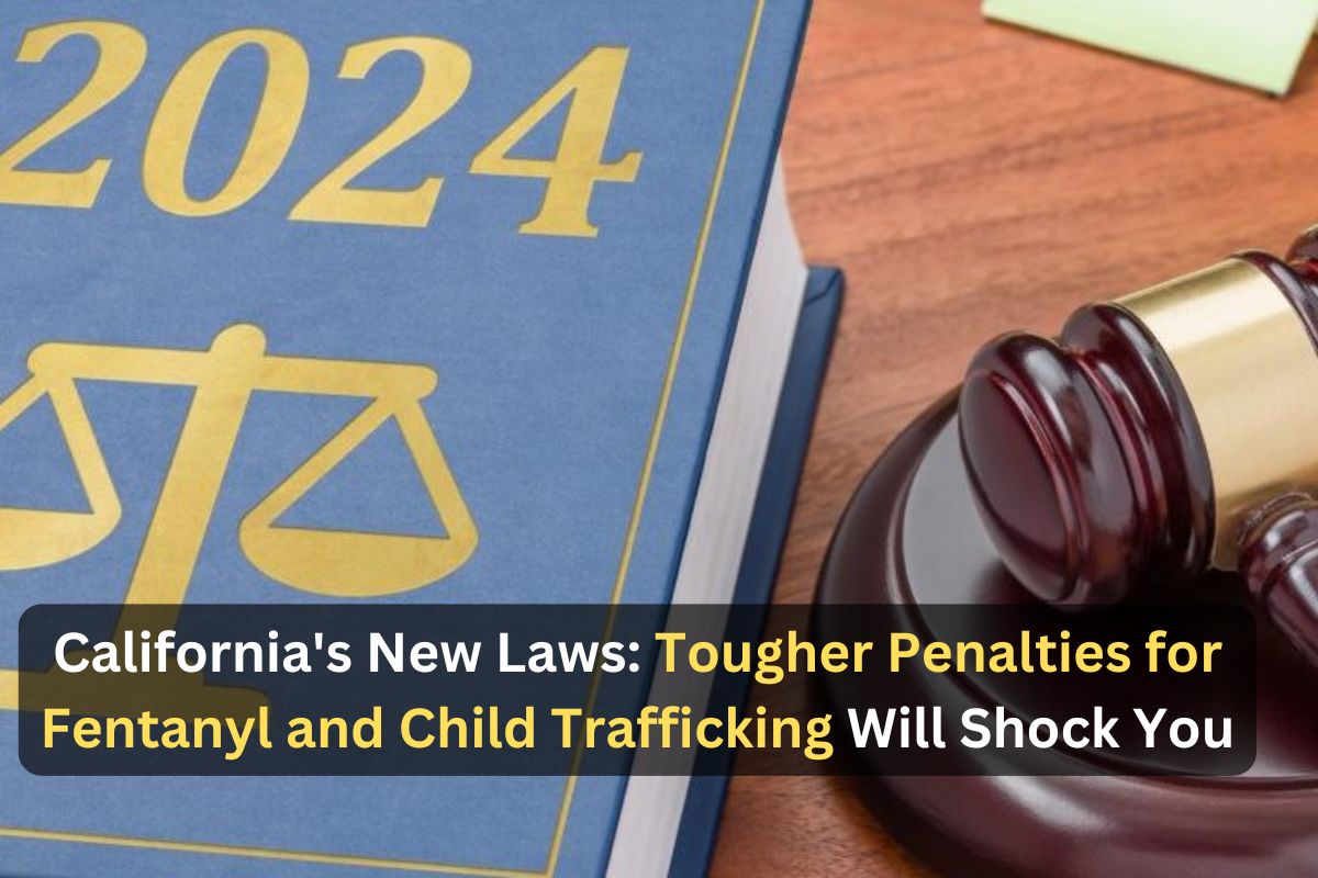 California Implements Stricter Criminal Justice Laws in 2024